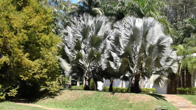 No entorno de Belo Horizonte um museu a cu aberto