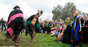 O novo circuito turístico, La Ruta del Tear (O Caminho do Tear), é uma excelente opção para os que querem conhecer um pouco mais a cultura e a vida do povo mapuche. O tour tem foco na produção de mantas, mas permite que os visitantes vejam de perto os háb