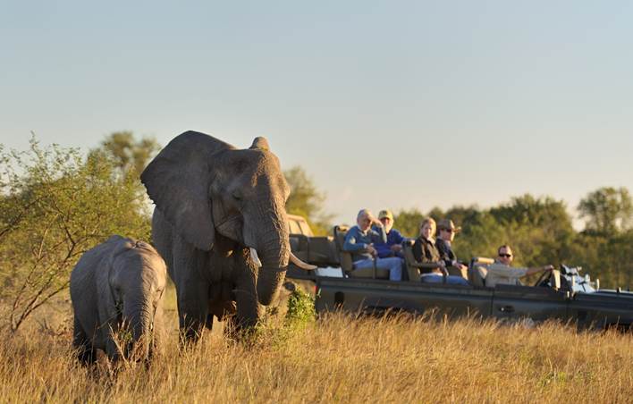 Sabi Sabi Private Game Reserve