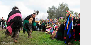 Puñihuil: caminho mágico dos pinguins de Chiloé