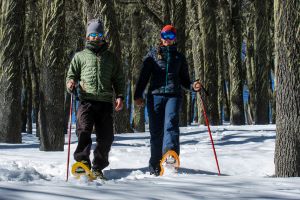 Cidade argentina reúne centros de esqui, natureza, gastronomia e se prepara para temporada de neve 2024 