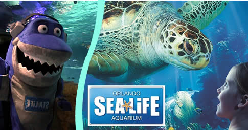 O SEA LIFE Orlando Aquarium surpreendeu seus fãs com a abertura da Turtle Fest, exposição interativa em homenagem a tartarugas terrestres, tartarugas marinhas e cágados. A mostra é destinada a famílias e contará com vários répteis, incluindo Diamondback T