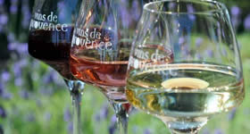 A Provence é a terra dos vinhedos desde a antiguidade. Foram os gregos que implantaram a vinicultura no sul da Gália, no século V a.C.. O generoso territór