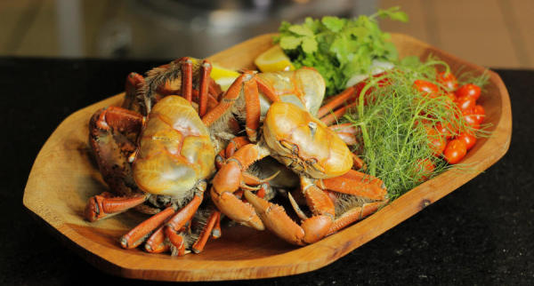 Festival do Pescado e Frutos do Mar Ceagesp 2026 começa dia 10 de janeiro com buffet liberado, mais de 70 pratos e preço fixo.