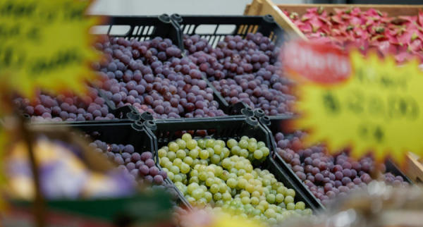 A Festa da Uva 2026 começa dia 15 em Jundiaí com gastronomia, shows de drones, espaço geek e entrada gratuita.