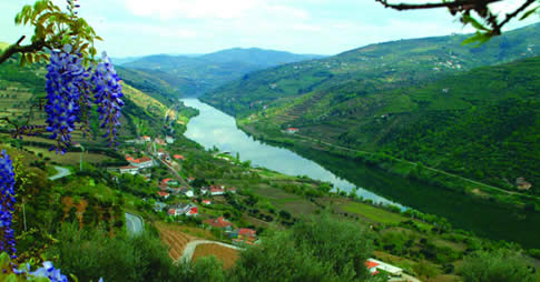 Um jeito diferente de ver o país é percorrendo o vale do rio Douro, de paisagens belíssimas, rica gastronomia e ótimos vinhos