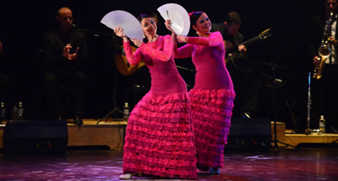 Parceria foi selada em 2007, em reconhecimento ao trabalho da professora de dança Ana Guerrero em manter e divulgar a Arte Flamenca em SJ dos Campos