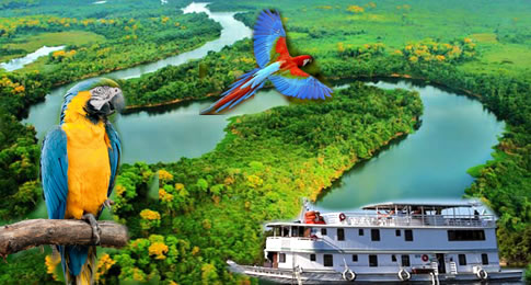A Turismo Consciente leva para sete dias de imersão nas riquezas da Amazônia, navegando pelo Rio Negro em confortáveis embarcações, e festa da virada pé na areia, com toda a exuberância nativa da floresta mais emblemática do mundo.