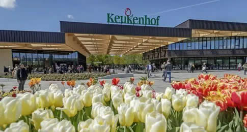 Pela primeira vez, hóspedes poderão reservar uma hospedagem de uma noite no Tulip Pod, próximo ao icônico campo de tulipas holandesas, o Keukenhof
