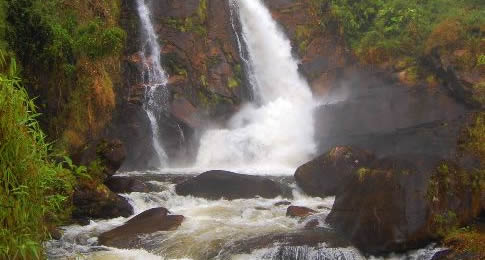 Localizada no interior mais selvagem do Parque Nacional da Serra da Bocaina a cachoeira do Veado é uma das maiores riquezas naturais da reserva e visitada por aventureiros que curtem trekking na montanha e pernoite na floresta.