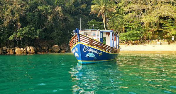 As cidades de Bertioga, Caraguatatuba, Ilhabela, São Sebastião e Ubatuba, que compõem o Circuito Litoral Norte de São Paulo, formam um cenário paradisíaco para os amantes de mergulho. Suas águas, de tons azul-esverdeados, são em boa parte da costa cristalinas, favorecem a visibilidade da rica biodiversidade da região