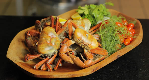 A experiência gastronômica do Festival do Pescado e Frutos do Mar Ceagesp oferece muito mais sabores