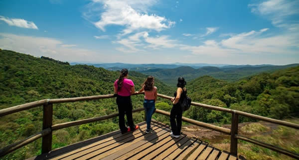 De acordo com a Forbes Advisor, o Brasil foi o país com maior biodiversidade entre todos os destinos pesquisados