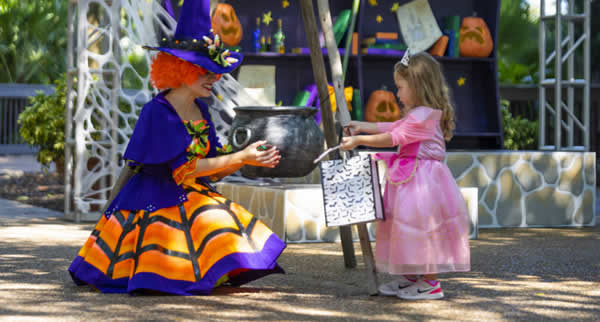 Até 31 de outubro, em datas selecionadas, o evento de Halloween infantil do Busch Gardens apresentará novos personagens, experiências interativas, desfile de fantasias e atividades divertidas