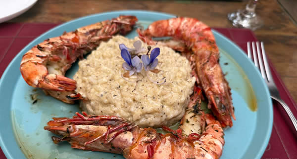 Descubra Serra Negra como destino gourmet: restaurantes sofisticados, fondue suíço, pizzas artesanais e vinhos locais transformam a estância hidromineral em polo gastronômico do interior paulista.