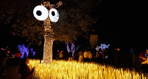 Nova atração da Fever ocupa mais de 20 mil m² com instalações luminosas, arte interativa e experiências sensoriais ao ar livre