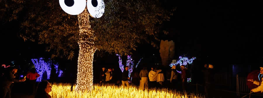 Brilha Sonhos transforma o Parque Villa-Lobos em espetáculo de luz e arte em São Paulo