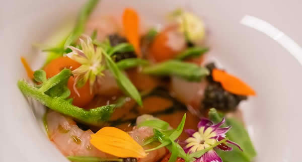 Evento internacional reúne chefs estrelados pelo Guia Michelin, experiências gastronômicas, vinhos portugueses e programação exclusiva no Rio de Janeiro, Niterói e Serra Fluminense