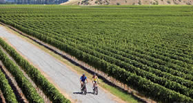 Trilhas de ciclismo revelam paisagens incríveis do país e incentivam turismo saudável. Quem quer vencer desafios e conhecer a Nova Zelândia