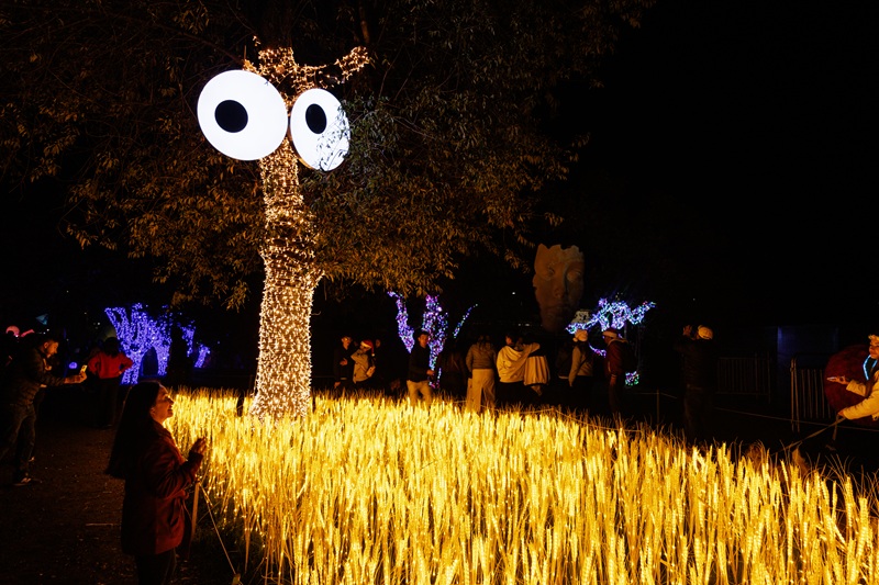 Nova atração da Fever ocupa mais de 20 mil m² com instalações luminosas, arte interativa e experiências sensoriais ao ar livre